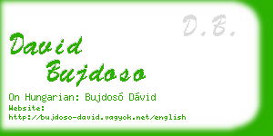 david bujdoso business card